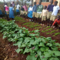 Improved Learning in Schools